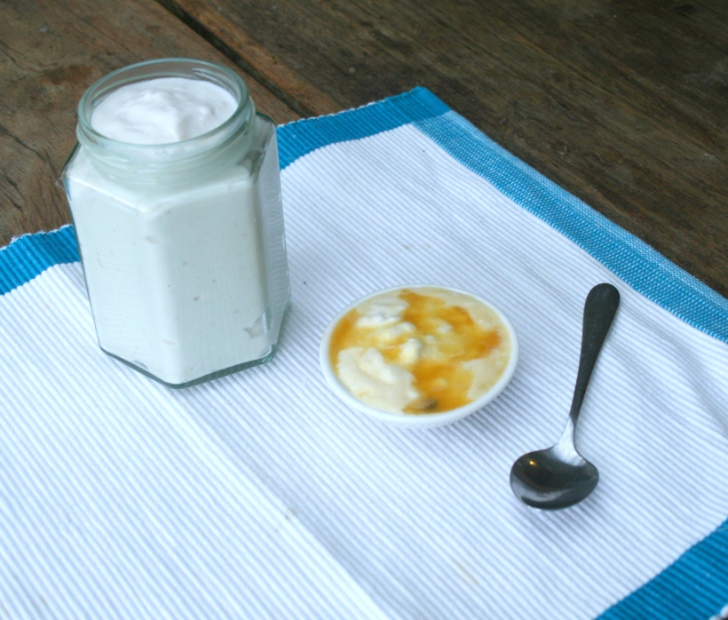 Homemade coconut yoghurt